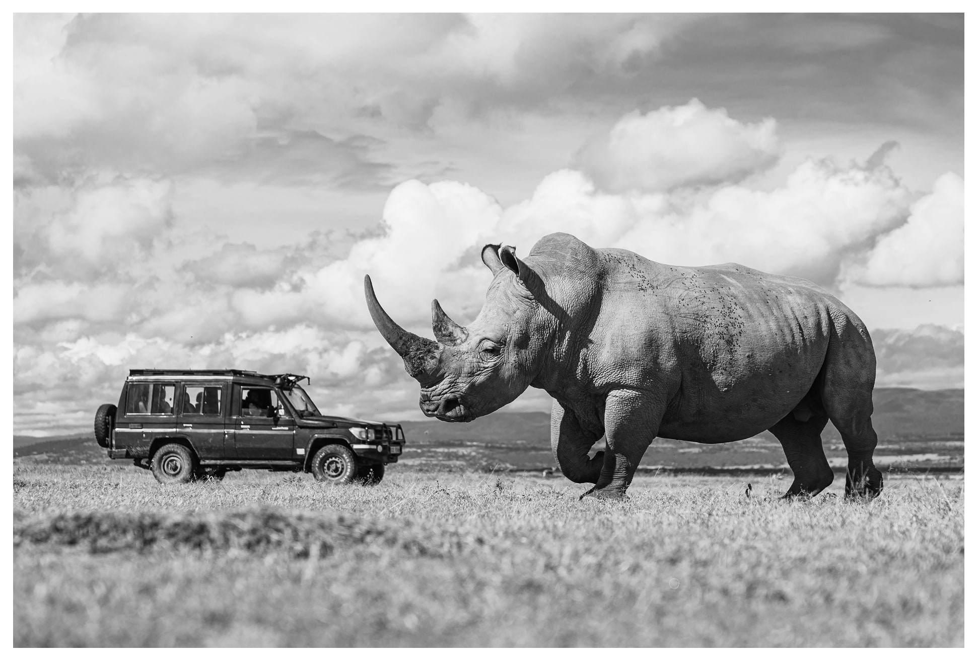 Majestueuze Rust, Kenia 2024 — Kodak Fem